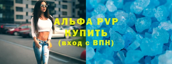 индика Медногорск