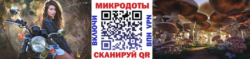 где продают   Каневская  Псилоцибиновые грибы ЛСД 