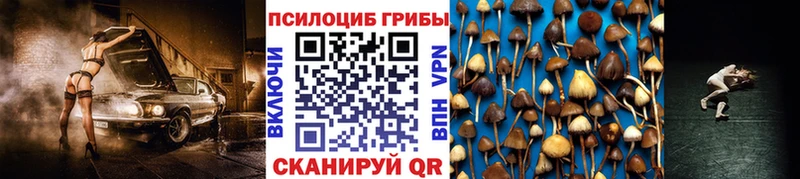 Псилоцибиновые грибы GOLDEN TEACHER Каневская